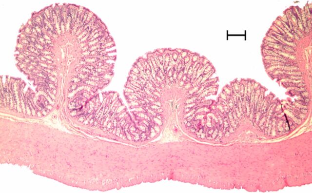 Figure 3a: