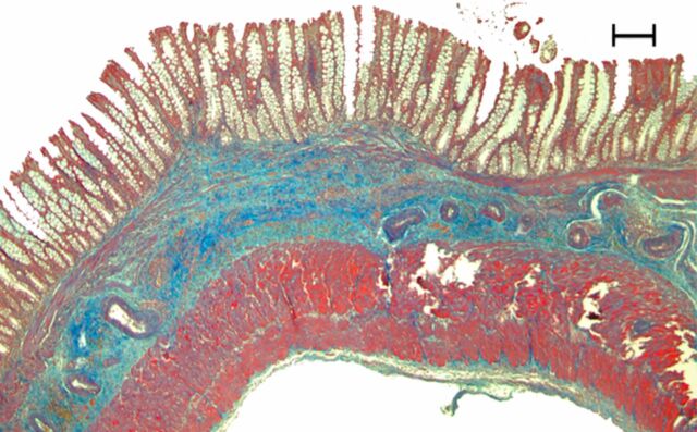 Figure 3f: