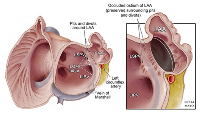 Figure 5.