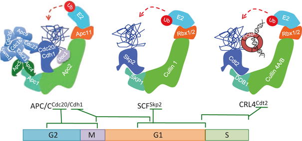 Fig. 19.2