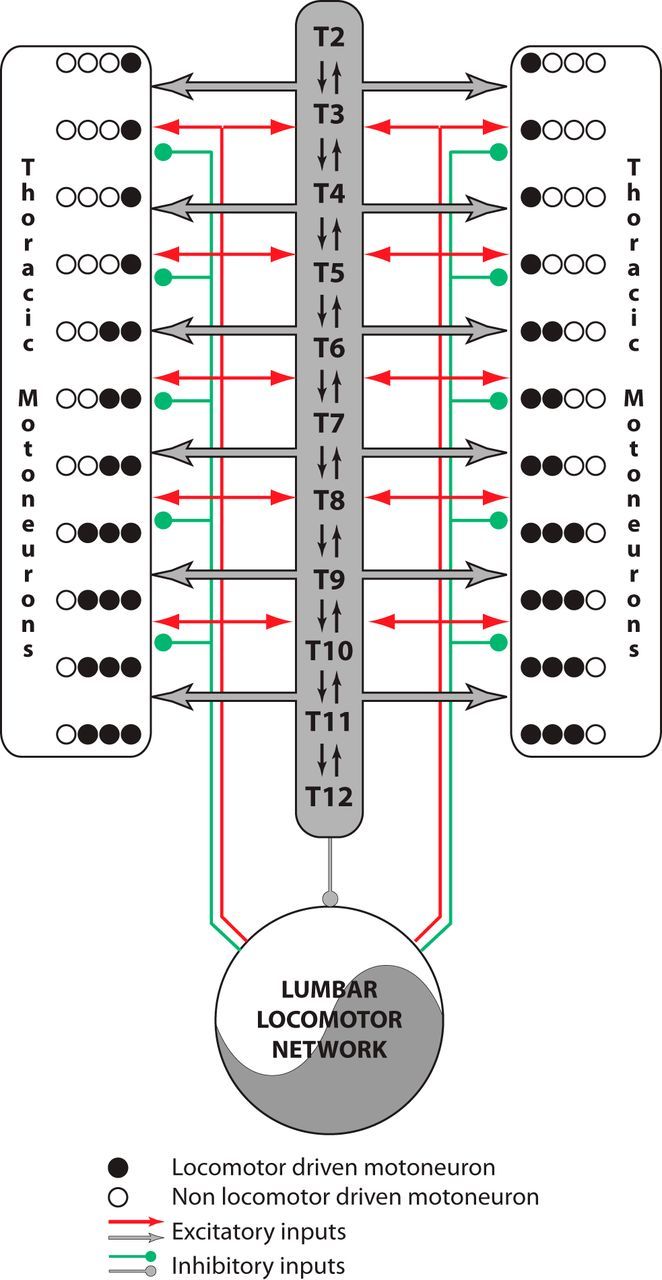 Figure 8.