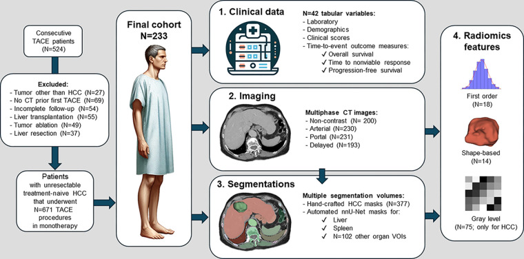 Diagram of patient flowchart and dataset specifications. HCC = hepatocellular carcinoma, TACE = transarterial chemoembolization, VOI = volume of interest.