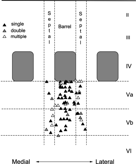 Fig. 10.