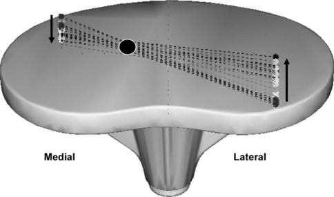 Fig. 1