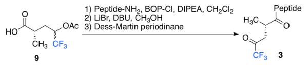 Scheme 2