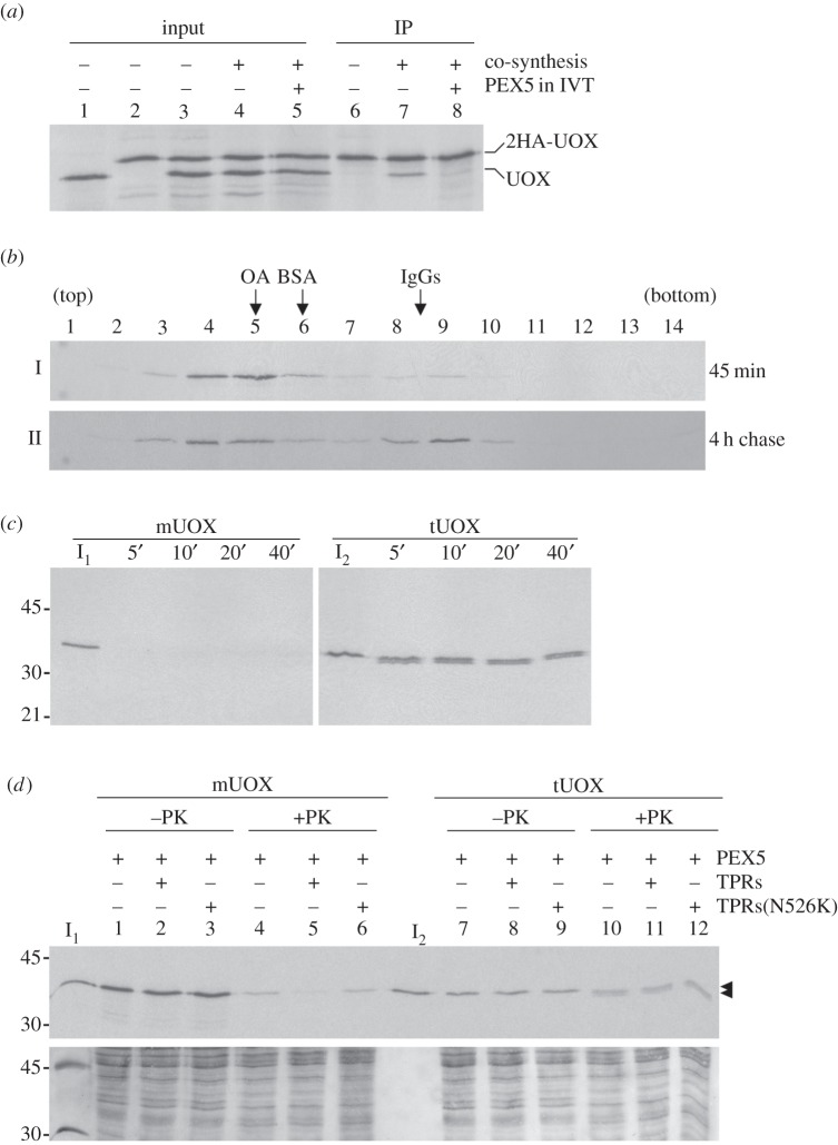 Figure 3.