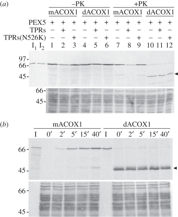 Figure 2.