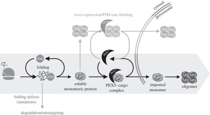 Figure 5.