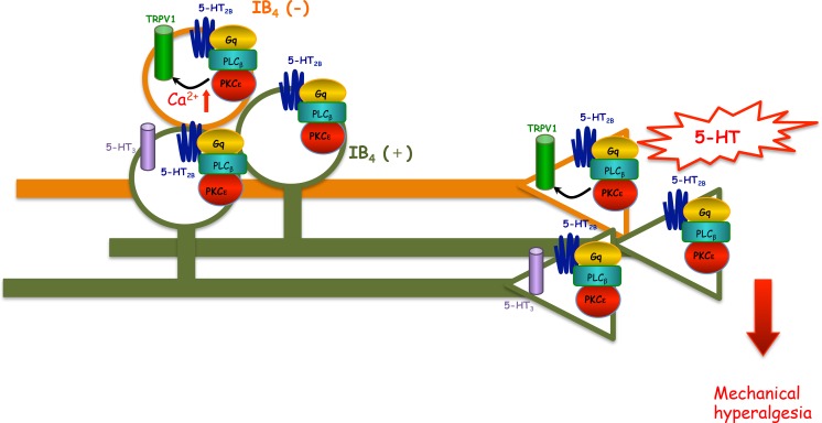 Fig. 8