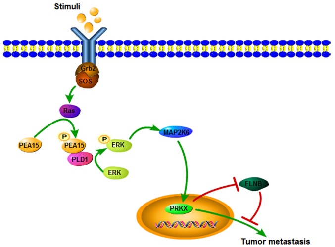 Figure 11.