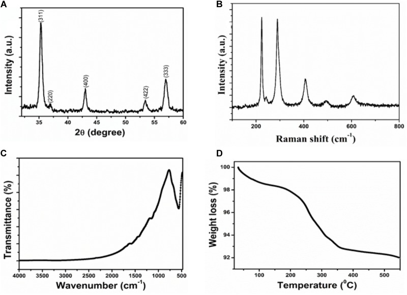 FIGURE 1