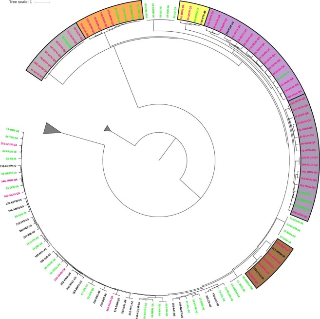 Fig 3