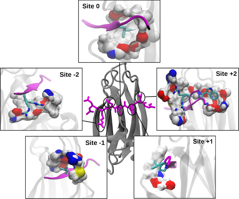 Fig 3