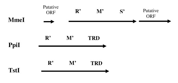 Figure 8