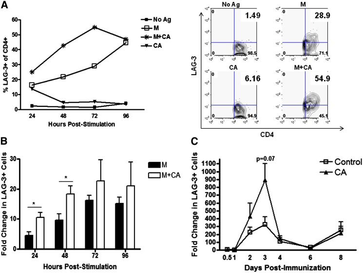 FIG. 4.