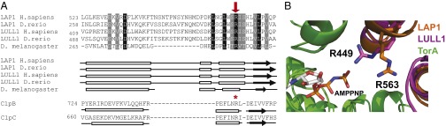 Fig. 4.