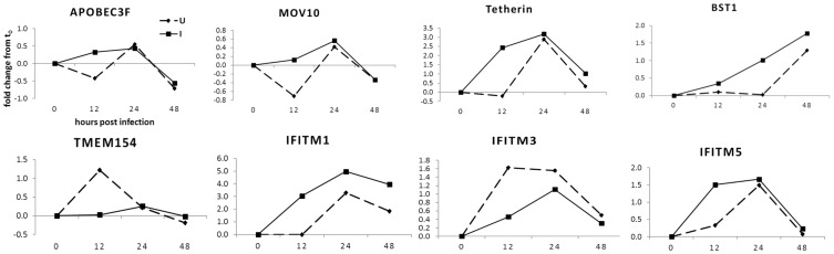 Fig 5