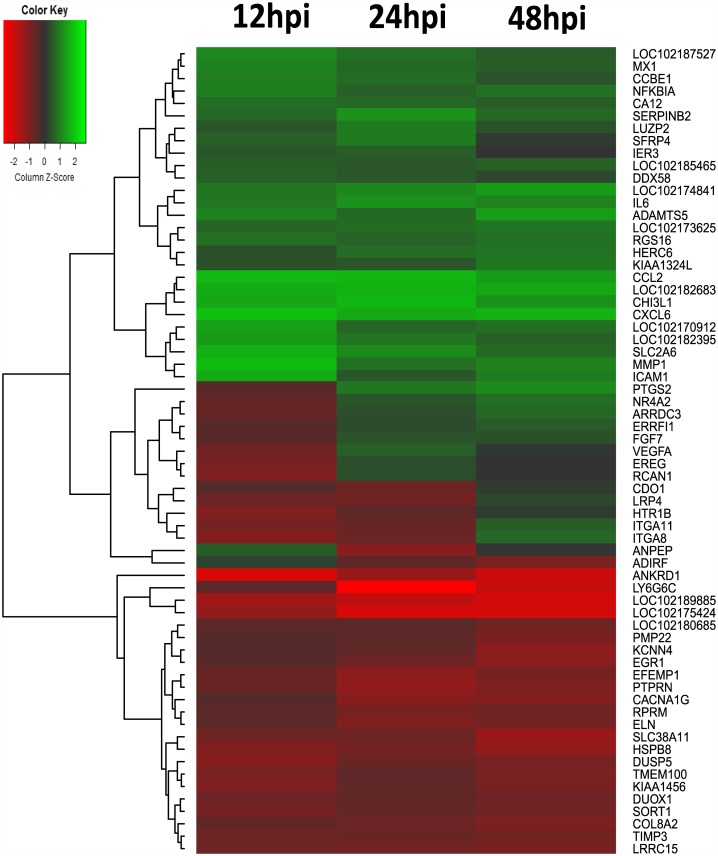 Fig 2