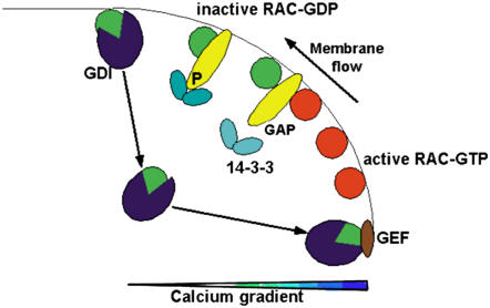 Figure 10.