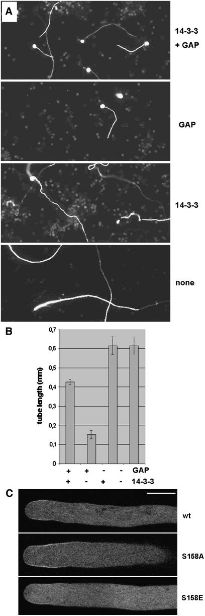 Figure 9.