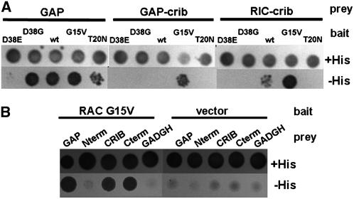 Figure 3.