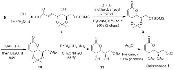 SCHEME 3