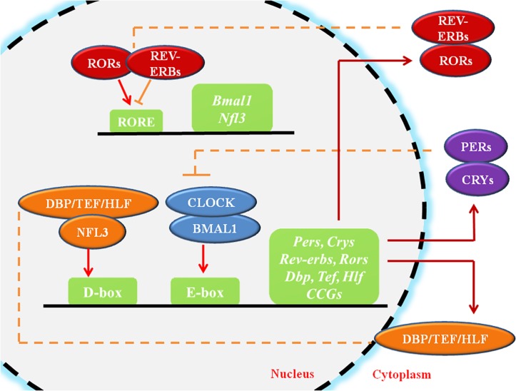 FIGURE 1