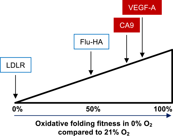 Figure 7