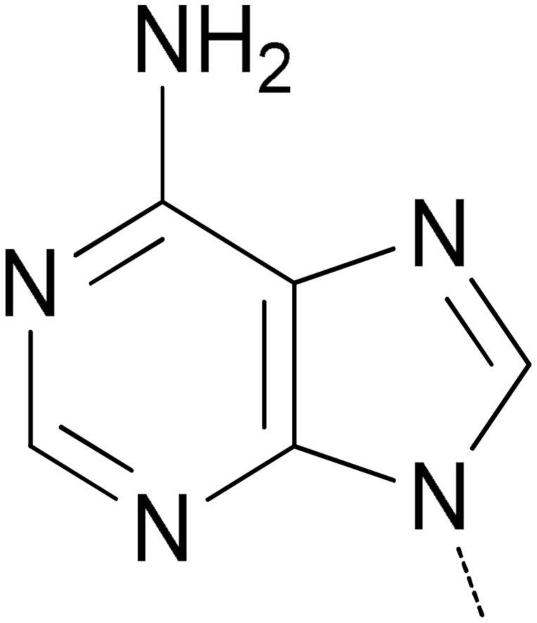 graphic file with name molecules-26-03334-i017.jpg