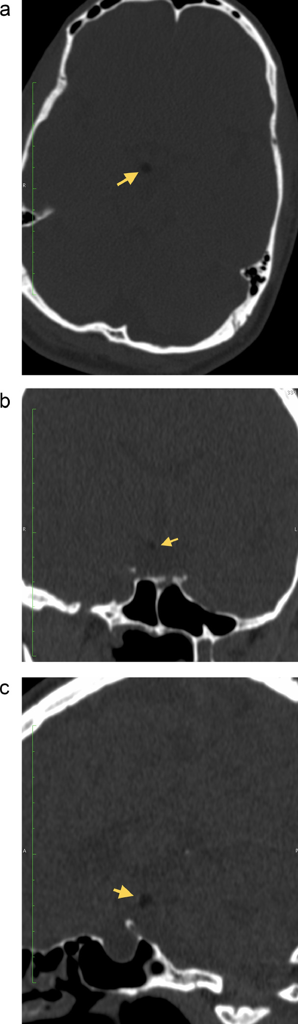 Fig. 7. (