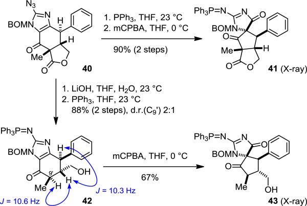 Scheme 8