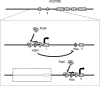 FIGURE 9.