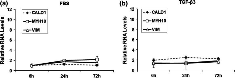 Fig. 6