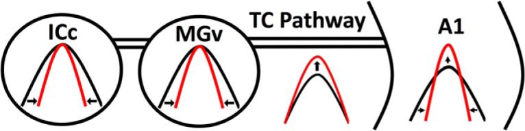 Figure 12.