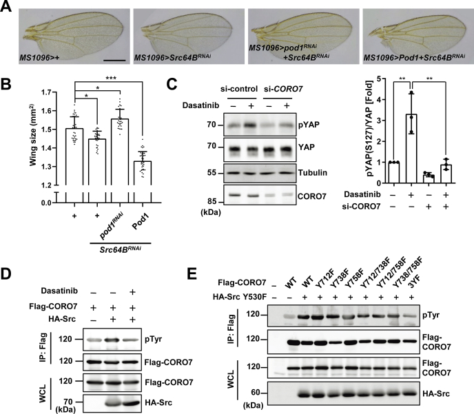 Figure 6