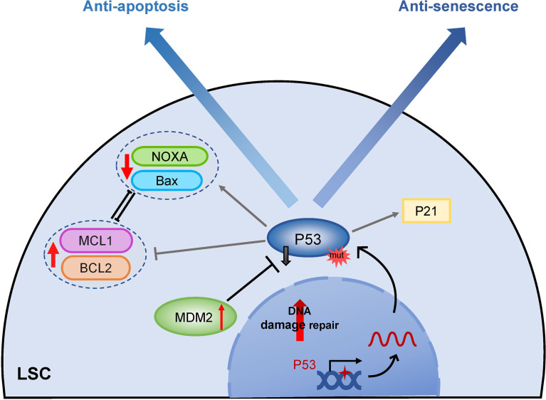 Figure 4