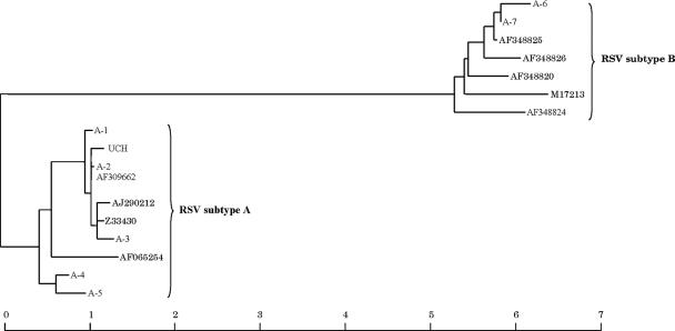 FIG. 5.