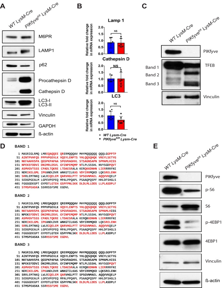 FIG 6