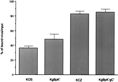 FIG. 6