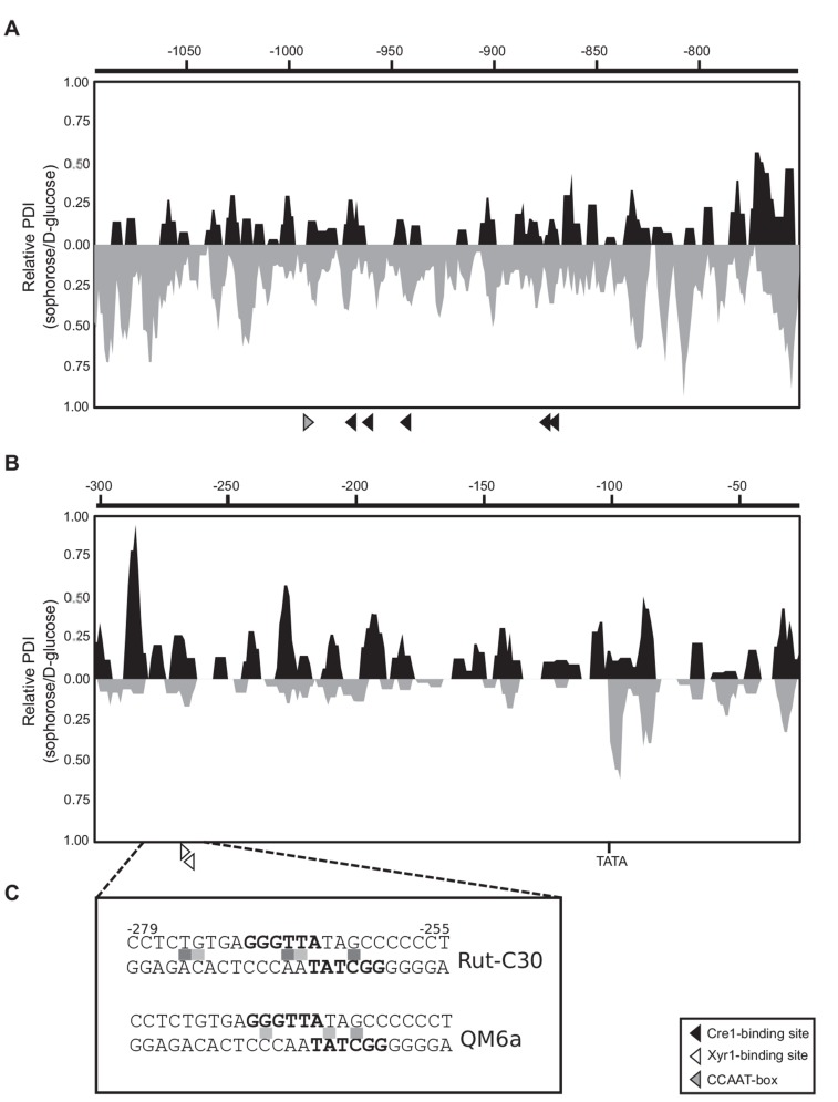 Fig. (2)