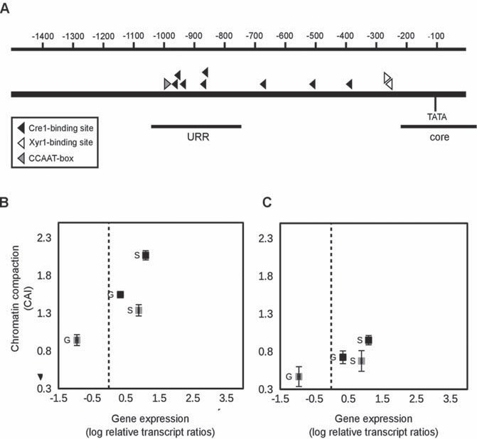 Fig. (1)