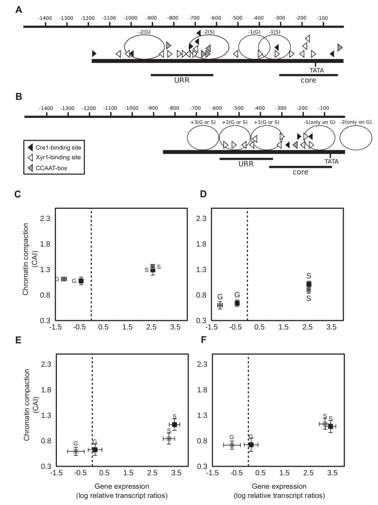 Fig. (3)