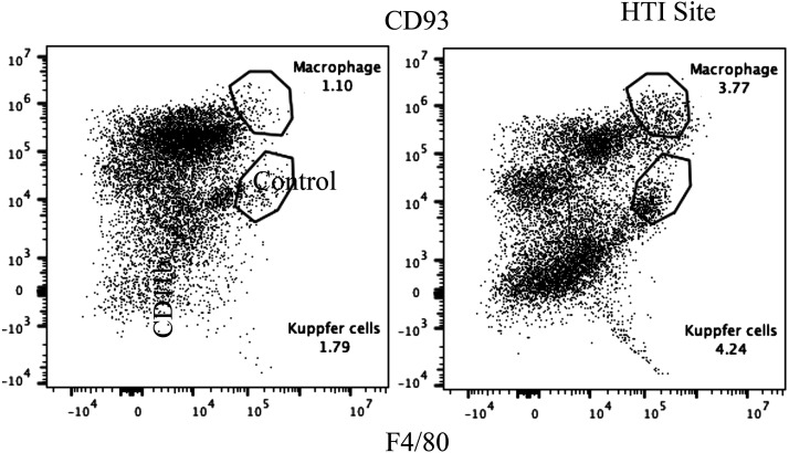 Fig. 8.