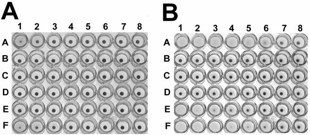 FIG. 4.