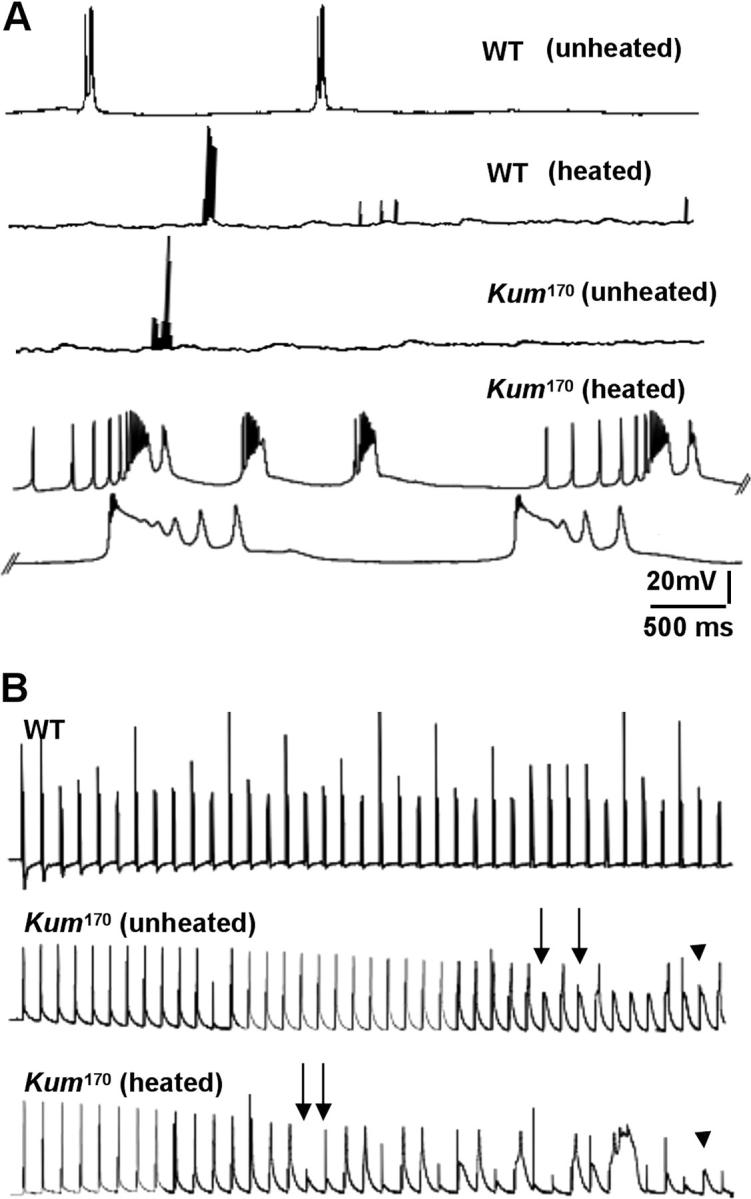 Figure 6.—