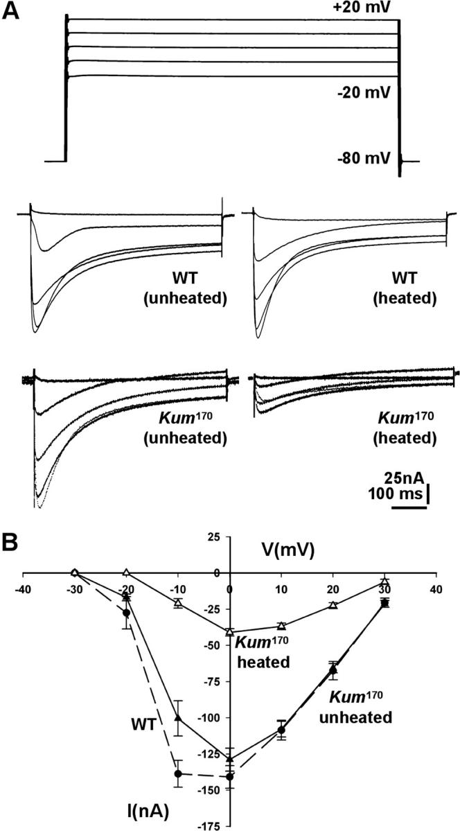 Figure 7.—