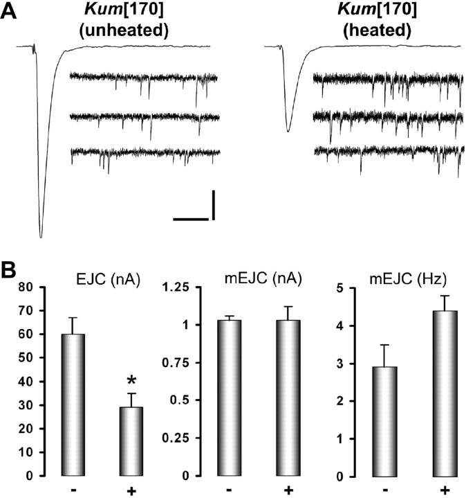 Figure 5.—