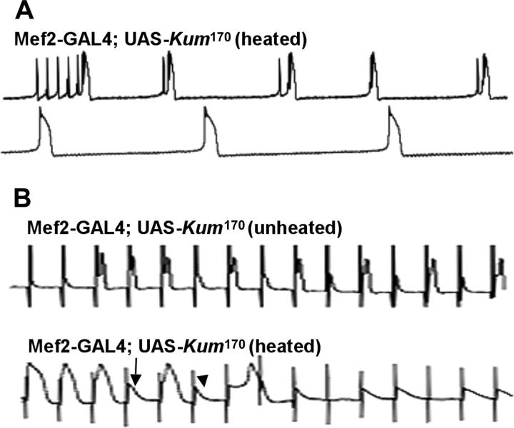 Figure 9.—