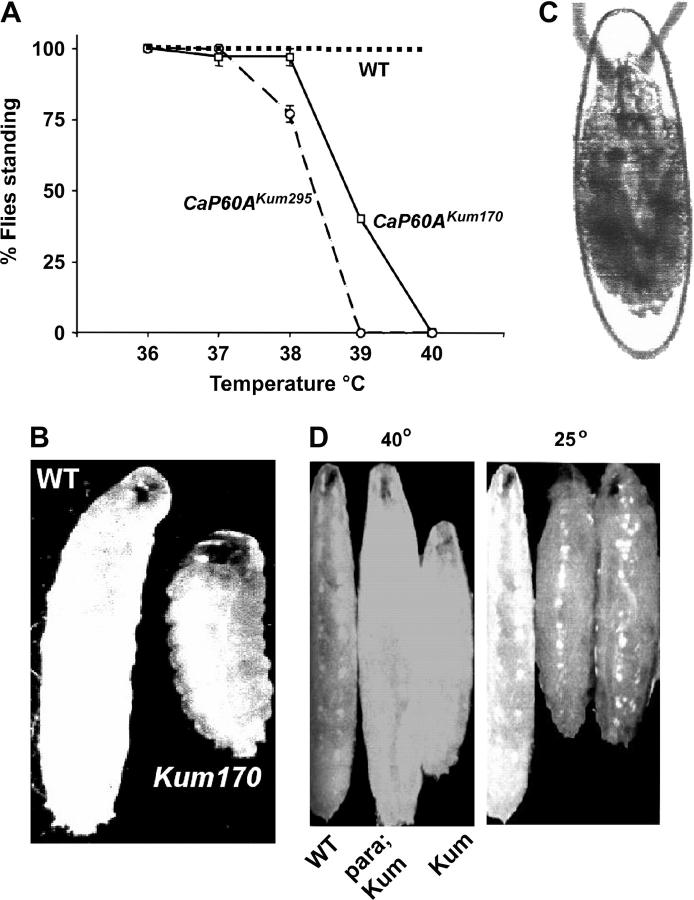 Figure 1.—