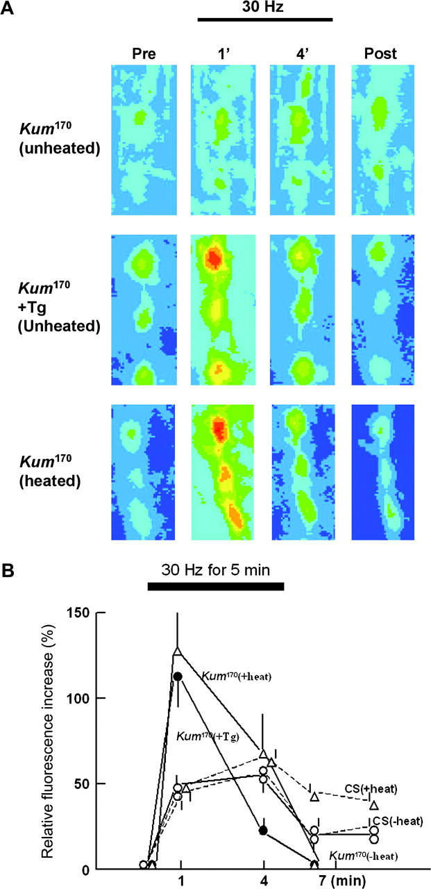 Figure 4.—